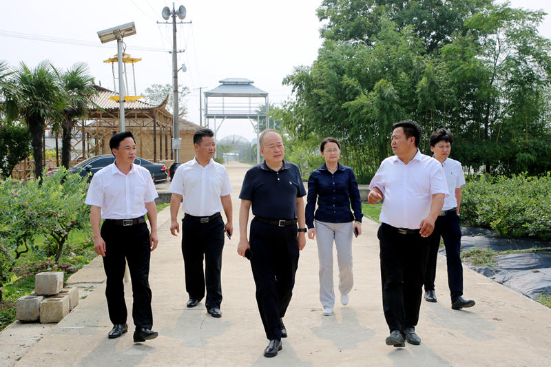 市委宣传部长李树到凤阳调研