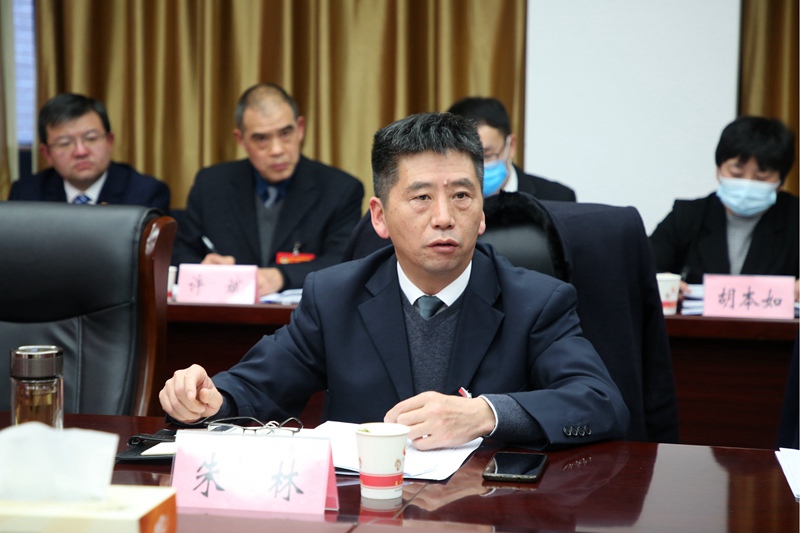 县委书记朱林参加第二组,第七组分组讨论