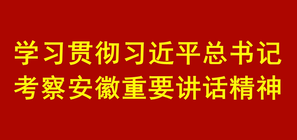 学习贯彻习近平总书记考察安徽重要讲话精神